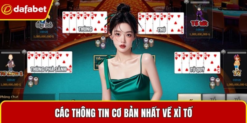 Các thông tin cơ bản nhất về Xì Tố