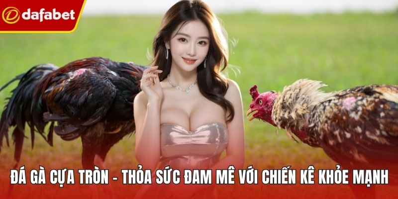 Đá Gà Cựa Tròn