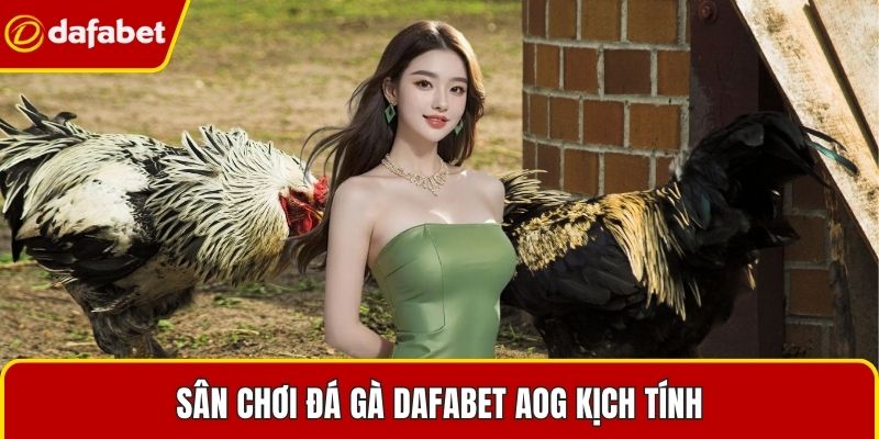 Sân chơi đá gà Dafabet AOG kịch tính