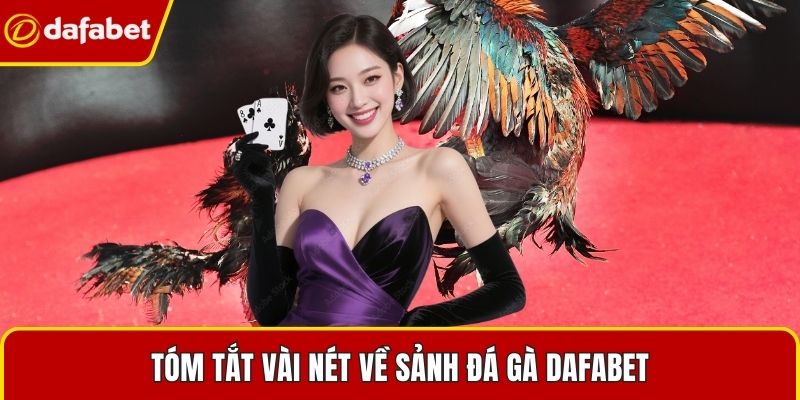Tóm tắt vài nét về sảnh đá gà Dafabet